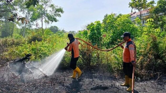 Asap tebal membubung dari lahan yang terbakar di wilayah Kalimantan Timur akibat musim kemarau.