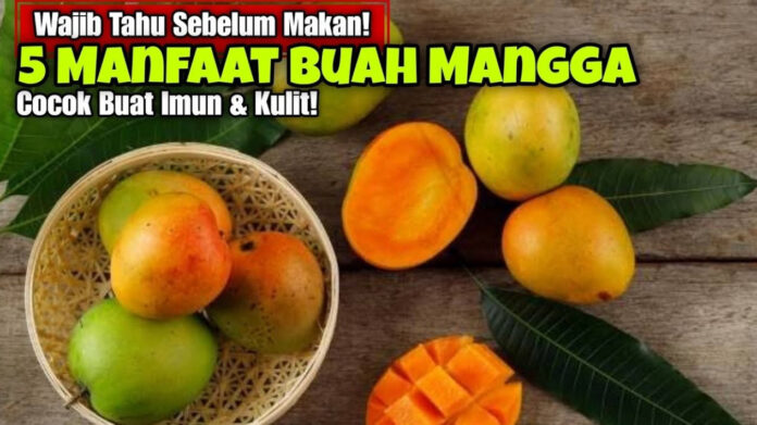 Tumpukan buah mangga segar yang kaya vitamin C dan serat untuk kesehatan.